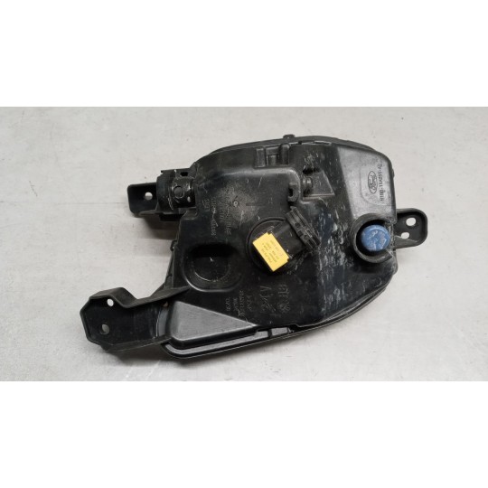 FENDINEBBIA SINISTRO FORD Fiesta 2017> usato