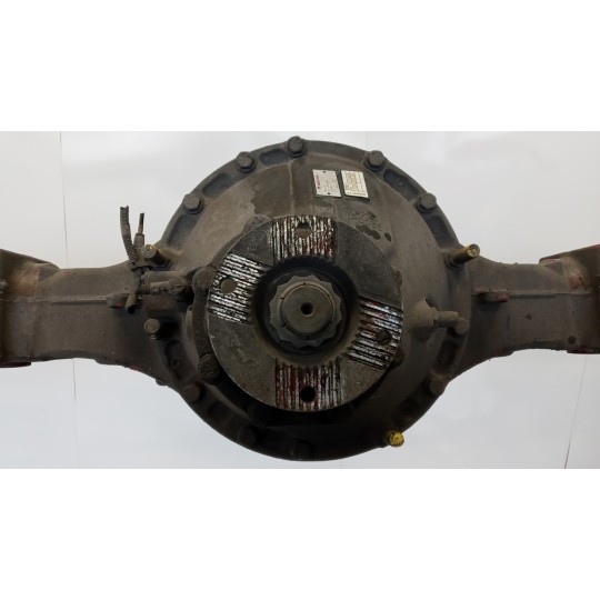 GRUPPO DIFFERENZIALE POSTERIORE RENAULT truck Premium 2005>2013 usato