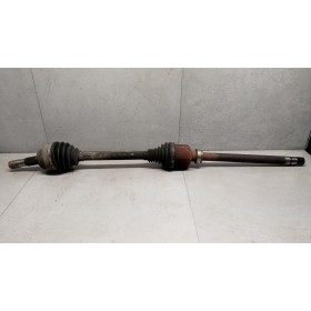 SEMIASSE ANTERIORE DESTRO...