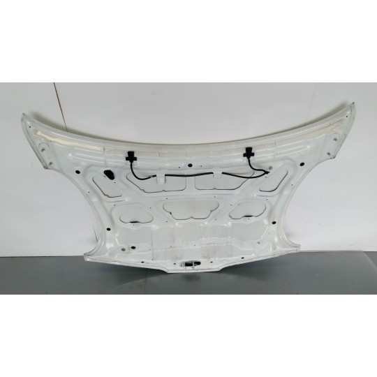 COFANO ANTERIORE NISSAN Micra 2007>2010 usato