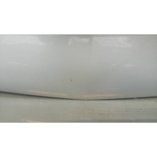 COFANO ANTERIORE DACIA Logan 2004>2008 usato