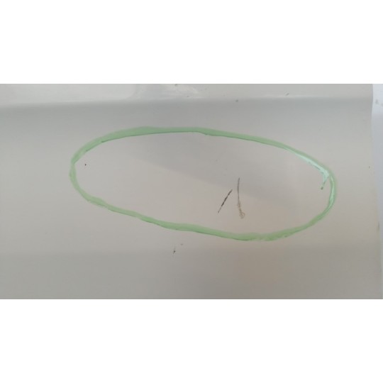 RIGHT FRONT DOOR  SCANIA 114 used