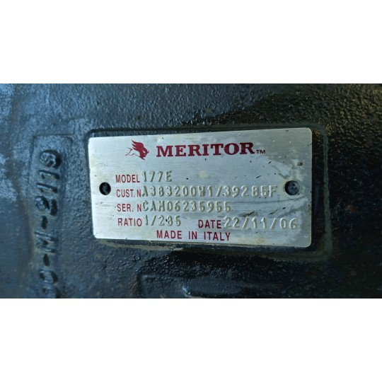 GRUPPO DIFFERENZIALE POSTERIORE IVECO Stralis 2003>2007 usato