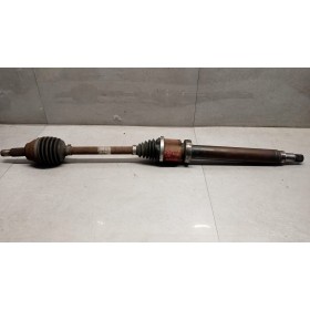 SEMIASSE ANTERIORE DESTRO...