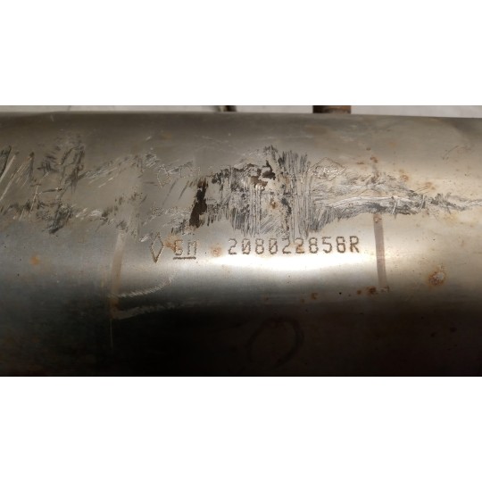 FILTRO ANTIPARTICOLATO RENAULT van Trafic 2010>2014 usato