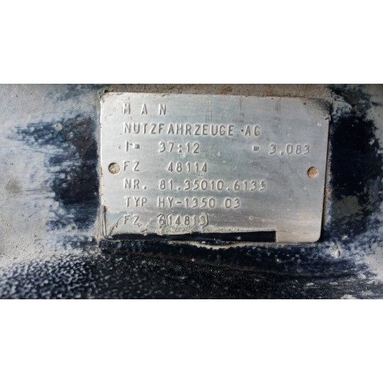 GRUPPO DIFFERENZIALE POSTERIORE MAN TG-A 2000>2007 usato