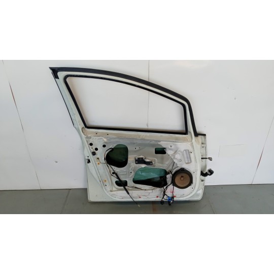 PORTA ANTERIORE SINISTRA FIAT F.Punto Evo 2009>2012 usato