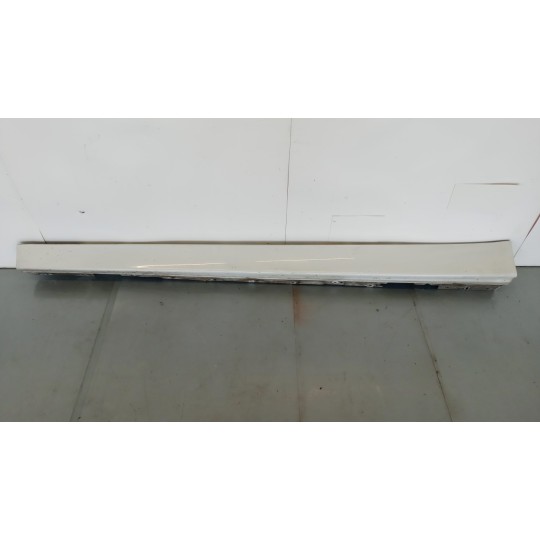 MINIGONNA SINISTRA BMW Serie 3 (F31) SW 2011> usato