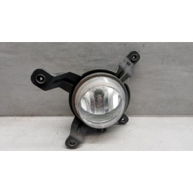 FENDINEBBIA SINISTRO...