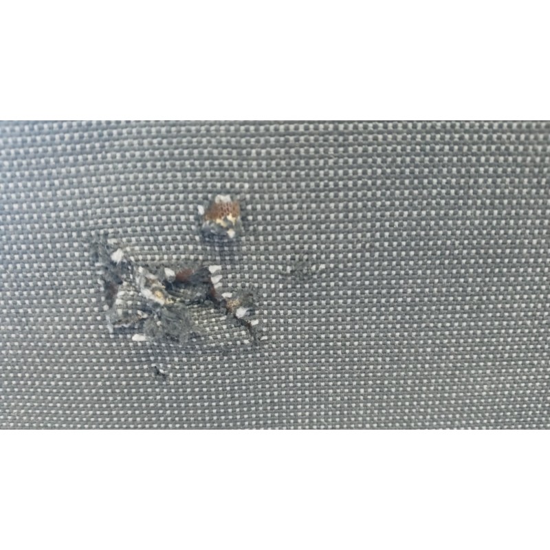 FORD van SEDILI ANTERIORI FORD van Transit/Tourneo Custom 2012>2018 usato