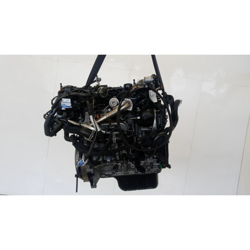 FORD MOTORE FORD Fiesta 2017> usato