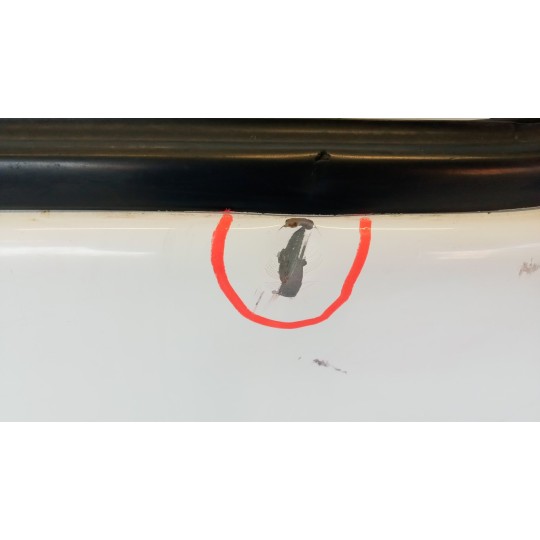 PORTA ANTERIORE SINISTRA RENAULT van Mascott usato