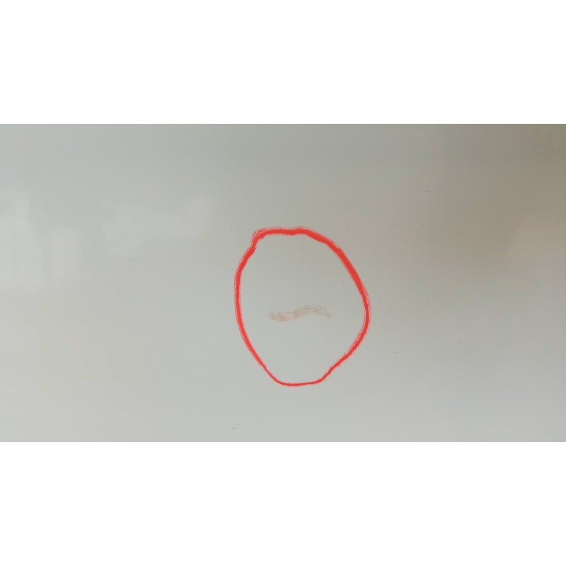 RENAULT van PORTA ANTERIORE SINISTRA RENAULT van Mascott usato