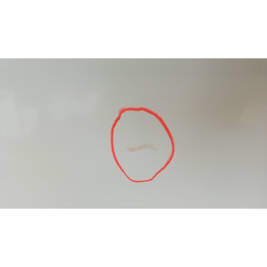 PORTA ANTERIORE SINISTRA RENAULT van Mascott usato