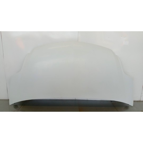 FRONT HOODS RENAULT van Mascott used