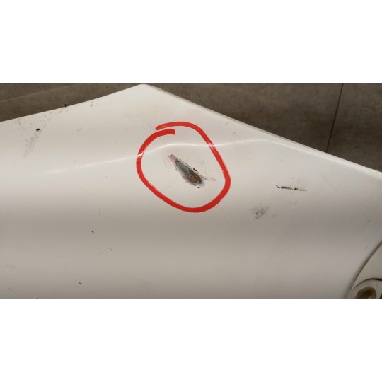 PARAFANGO ANTERIORE SINISTRO RENAULT van Mascott usato