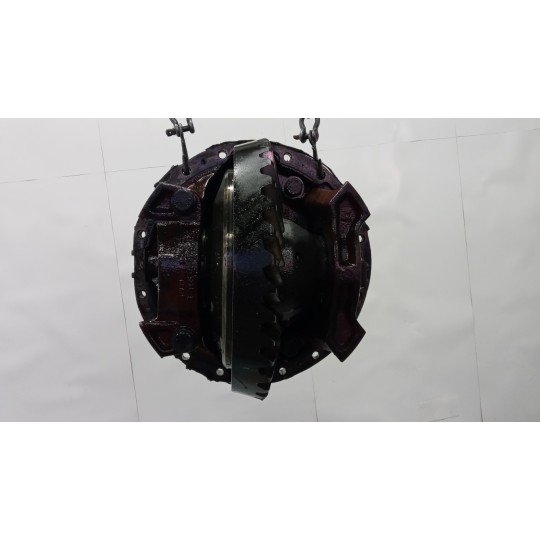 GRUPPO DIFFERENZIALE POSTERIORE IVECO Stralis 2007>2013 usato