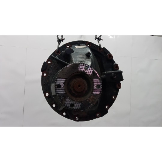 GRUPPO DIFFERENZIALE POSTERIORE IVECO Stralis 2007>2013 usato