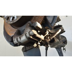 PINZA POSTERIORE DESTRA...