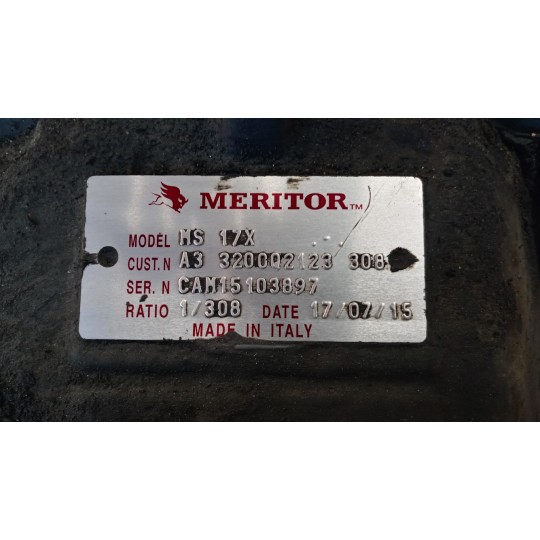 GRUPPO DIFFERENZIALE POSTERIORE IVECO Stralis 2013> usato