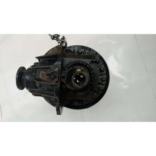 GRUPPO DIFFERENZIALE POSTERIORE MAN TG-A 2000>2007 usato