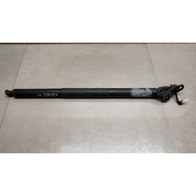 ALZA PORTELLONE ELETTRICO...