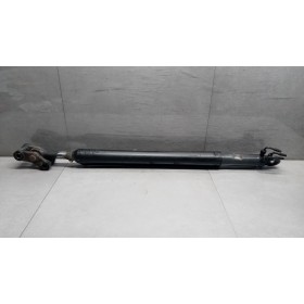 CAB LIFT PISTON  DAF XF105...