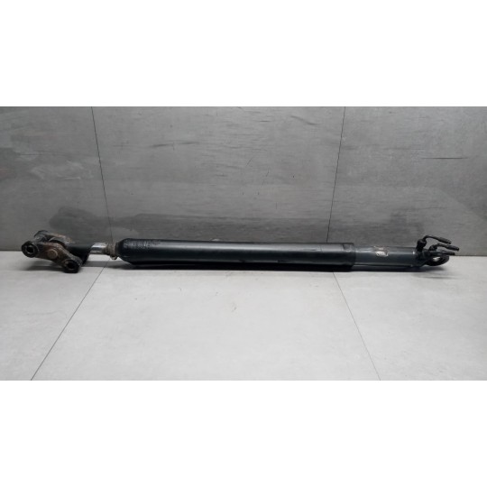 PISTONE ALZA CABINA DAF XF105 usato