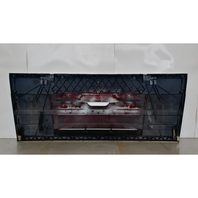 DAF MASCHERINE DAF XF105 usato