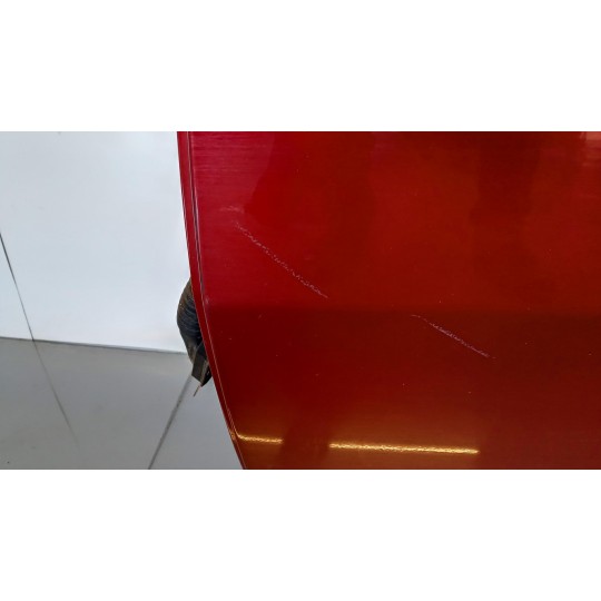 PORTA POSTERIORE SINISTRA BMW Serie X6 (E71) 2008>2014 usato