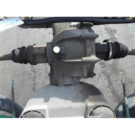 GRUPPO DIFFERENZIALE POSTERIORE RENAULT Scenic RX4 1999>2003 usato