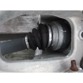 SEMIASSE POSTERIORE DESTRO...