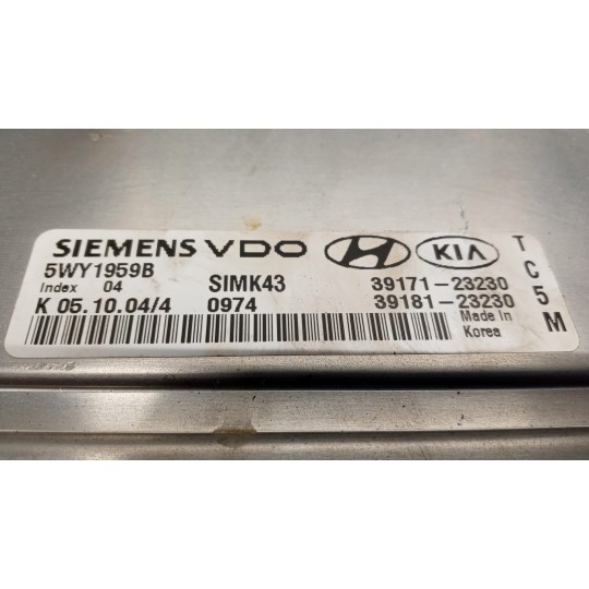 CENTRALINA MOTORE HYUNDAI Tucson 2004>2009 usato