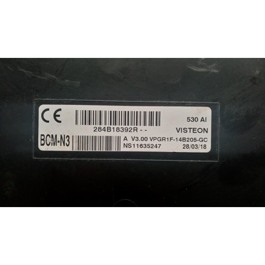 CENTRALINA MOTORE RENAULT van Master 2014>2019 usato