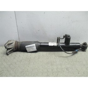 LEFT BACK SCHOCK ASSORBER...