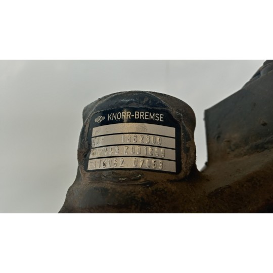 PINZA POSTERIORE DESTRA DAF XF106 usato