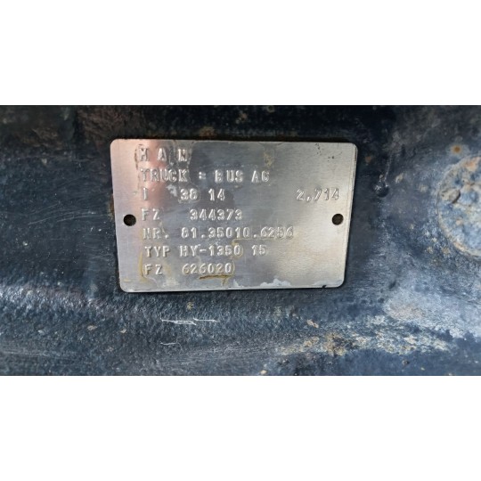 GRUPPO DIFFERENZIALE POSTERIORE MAN TGX  usato