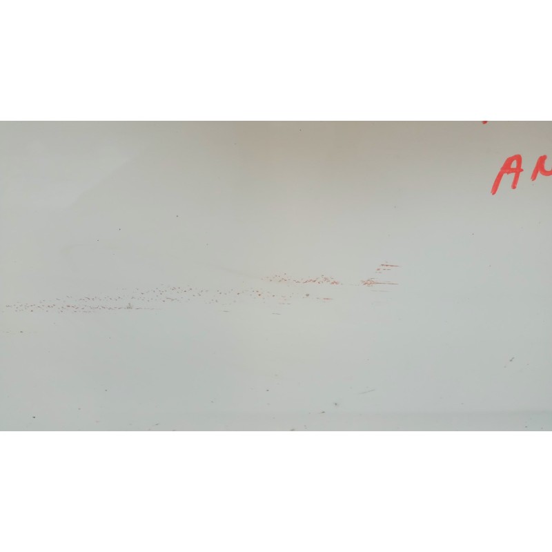 FIAT PORTA ANTERIORE SINISTRA FIAT F.Punto Evo 2009>2012 usato