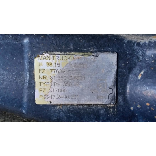 GRUPPO DIFFERENZIALE POSTERIORE MAN TGX euro 6 usato