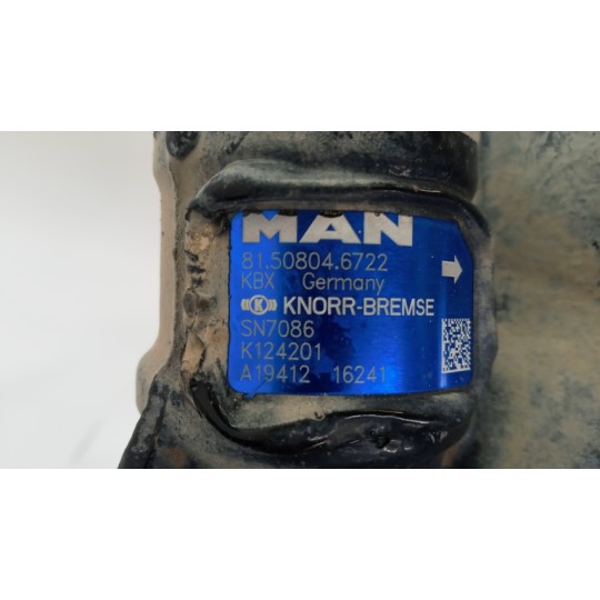 PINZA POSTERIORE DESTRA MAN TGX euro 6 usato