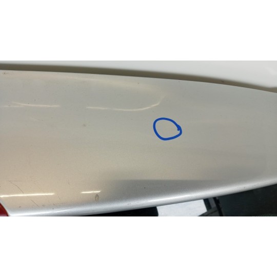 PORTELLONE POSTERIORE VOLKSWAGEN Polo 2001>2005 usato