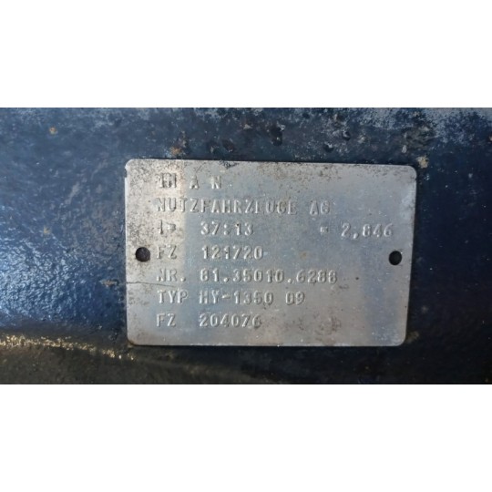 GRUPPO DIFFERENZIALE POSTERIORE MAN TGS usato