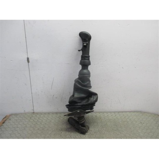 LEVERAGGIO DAF XF105 usato