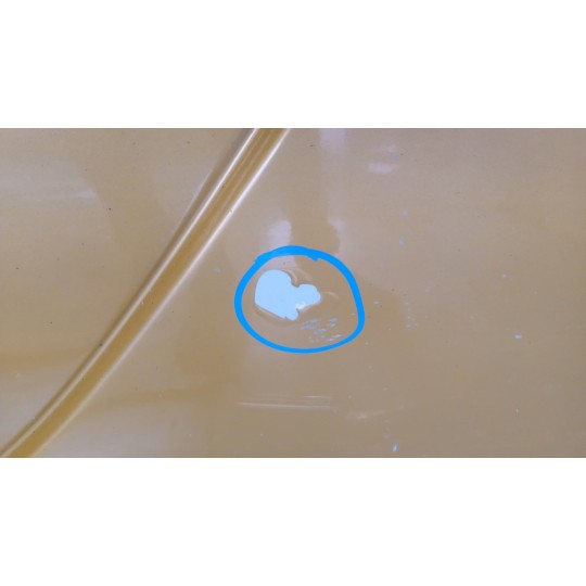 MINIGONNA DESTRA DAF XF106 usato