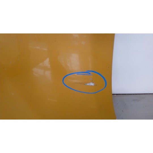 MINIGONNA DESTRA DAF XF106 usato