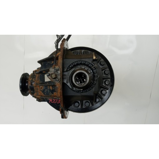 GRUPPO DIFFERENZIALE POSTERIORE MAN TGX euro 6 usato