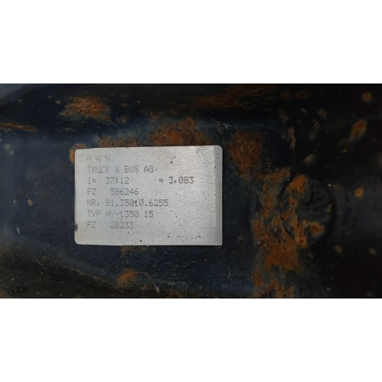 GRUPPO DIFFERENZIALE POSTERIORE MAN TGX euro 6 usato