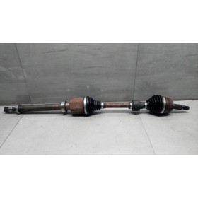 SEMIASSE ANTERIORE DESTRO...