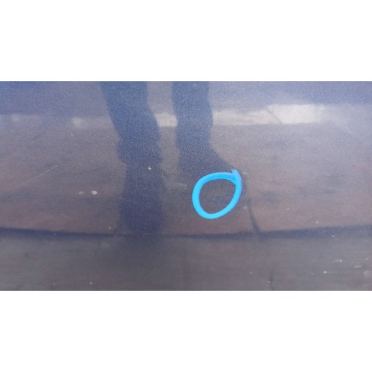 COFANO ANTERIORE FORD Fusion 2006>2012 usato