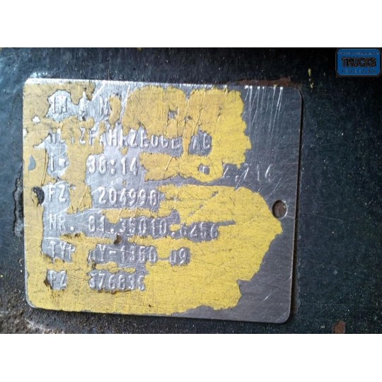 GRUPPO DIFFERENZIALE POSTERIORE MAN TGX  usato